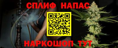 jwh Ставрополь