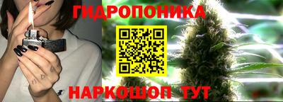 ПСИЛОЦИБИНОВЫЕ ГРИБЫ Среднеуральск