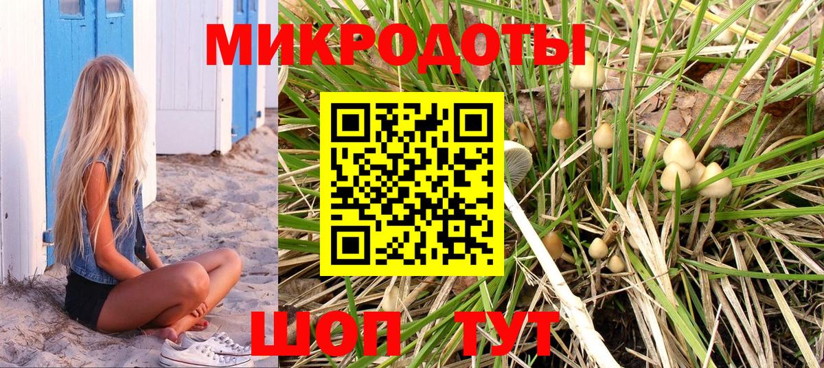 Псилоцибиновые грибы Psilocybe  Вход с VPN  Октябрьский  Галлюциногенные грибы мухоморы 